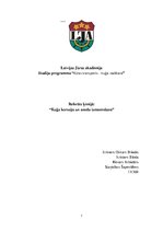 Referāts 'Kuģa korozija un anoda izmantošana', 1.