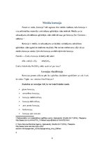 Referāts 'Kuģa korozija un anoda izmantošana', 4.