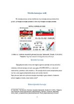 Referāts 'Kuģa korozija un anoda izmantošana', 7.