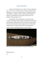 Referāts 'Kuģa korozija un anoda izmantošana', 12.