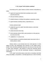 Prakses atskaite 'Guļbūves', 8.