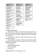 Referāts 'Reklāmas nozīme preču un pakalpojumu tirgū', 11.