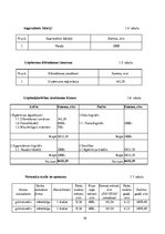 Biznesa plāns 'Biznesa plāns. Grāmatvedis', 19.