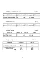 Biznesa plāns 'Biznesa plāns. Grāmatvedis', 20.