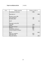 Biznesa plāns 'Biznesa plāns. Grāmatvedis', 24.