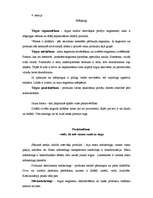 Konspekts 'Pozicionēšana mārketingā', 1.