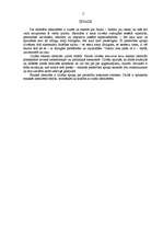 Referāts 'Etniskā identitāte', 2.