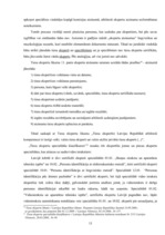 Diplomdarbs 'Audio un video ieraksti kā pierādījumi tiesu praksē', 13.