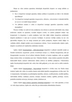 Diplomdarbs 'Audio un video ieraksti kā pierādījumi tiesu praksē', 15.