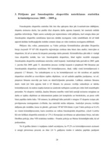 Diplomdarbs 'Audio un video ieraksti kā pierādījumi tiesu praksē', 24.