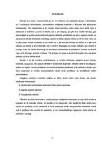 Referāts 'Izdegšanas sindroms skolotājiem un sociālajiem darbiniekiem', 20.