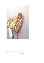 Referāts 'Jauniešu ģērbšanās stila raksturojums svētkos', 4.