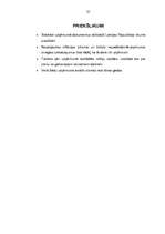 Prakses atskaite 'SIA "xxx" uzņēmējdarbības analīzes prakse', 31.