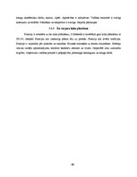 Referāts 'Biznesa kultūra Francijā', 10.