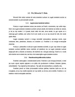 Referāts 'Biznesa kultūra Francijā', 13.