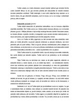 Konspekts 'A.Turēns "Sieviešu sabiedrība"', 2.