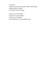 Paraugs 'Sociālā gadījuma analīze', 4.