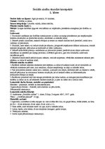 Konspekts 'Sociālo zinību stundas konspekts 1.klasei', 1.