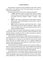 Referāts 'Inovatīvas ierosmes ģimenes budžeta plānošanai', 7.