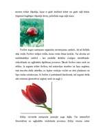 Konspekts 'Kālija minerālmēsli', 3.