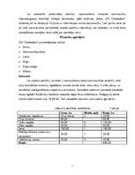 Biznesa plāns 'Tūrisma firma', 5.