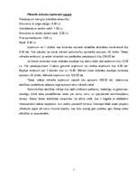 Biznesa plāns 'Tūrisma firma', 7.