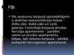 Prezentācija 'Baroks pasaules un Latvijas arhitekturā', 6.