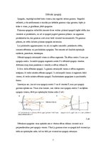 Referāts 'Lēcas, spoguļi', 7.