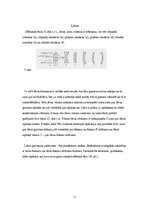 Referāts 'Lēcas, spoguļi', 11.