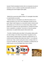 Referāts 'Lēcas, spoguļi', 17.