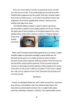 Referāts 'Lēcas, spoguļi', 20.