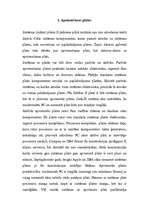 Referāts 'Mātesplate', 4.