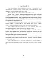 Referāts 'Valsts budžeta veidošanas tendences', 5.