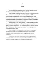 Referāts 'Biznesa inkubatori kā specifisks organizāciju veids', 3.