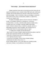 Referāts 'Biznesa inkubatori kā specifisks organizāciju veids', 6.