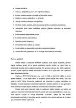 Prakses atskaite 'Prakses atskaite SIA "Evicore"', 4.