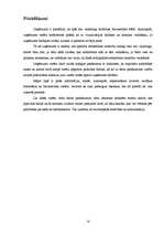 Prakses atskaite 'Prakses atskaite SIA "Evicore"', 13.