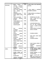 Biznesa plāns 'Pludmales volejbola halles izveide', 8.