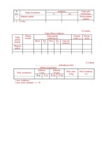 Referāts 'Ēdienu gatavošanas tehnoloģiskais projekts', 33.