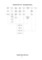 Referāts 'Ēdienu gatavošanas tehnoloģiskais projekts', 50.