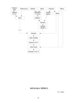 Referāts 'Ēdienu gatavošanas tehnoloģiskais projekts', 94.