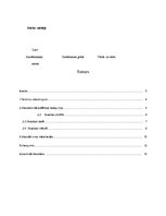 Referāts 'Skaistais kā estētikas kulminācija', 2.