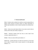 Referāts 'Skaistais kā estētikas kulminācija', 4.