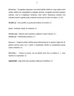 Referāts 'Skaistais kā estētikas kulminācija', 5.