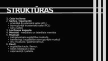 Prezentācija 'Ceļa hiperekstensija', 3.