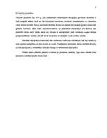 Referāts 'Datora vēsture', 7.