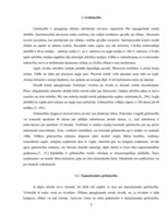 Referāts 'Sieviete grūtniecības laikā', 4.