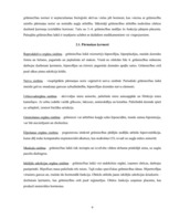 Referāts 'Sieviete grūtniecības laikā', 9.