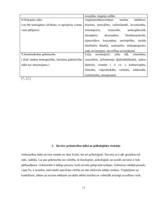 Referāts 'Sieviete grūtniecības laikā', 11.