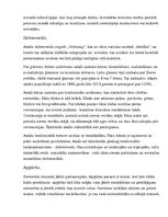 Referāts 'Subkultūra - amiši', 3.